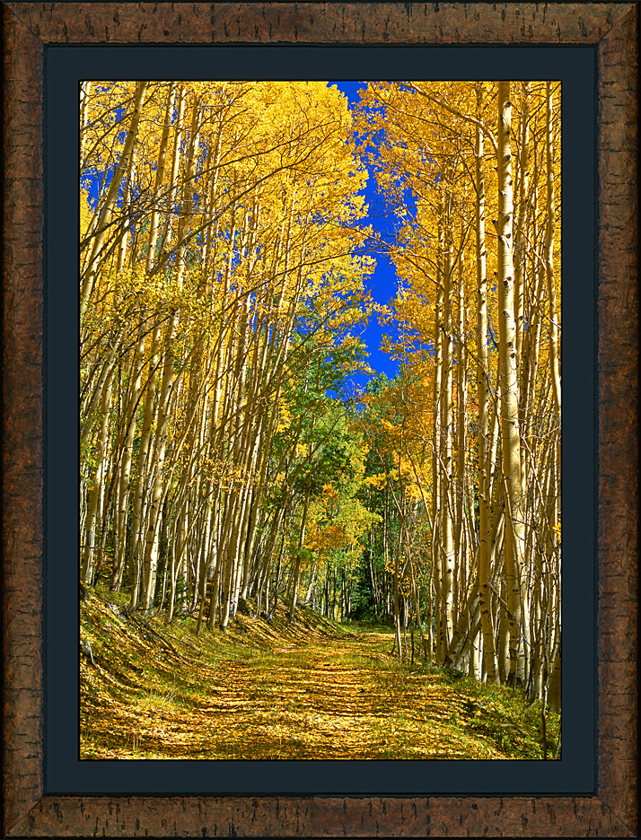 framed aspen road - roma