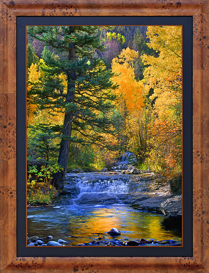 framed autumn iridescence - LGB