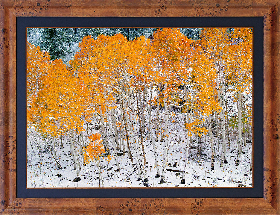 framed autumn's intrigue_LGB