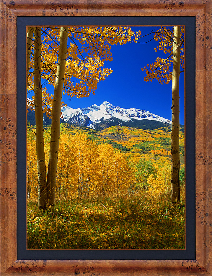 framed autumn's journey - LGB