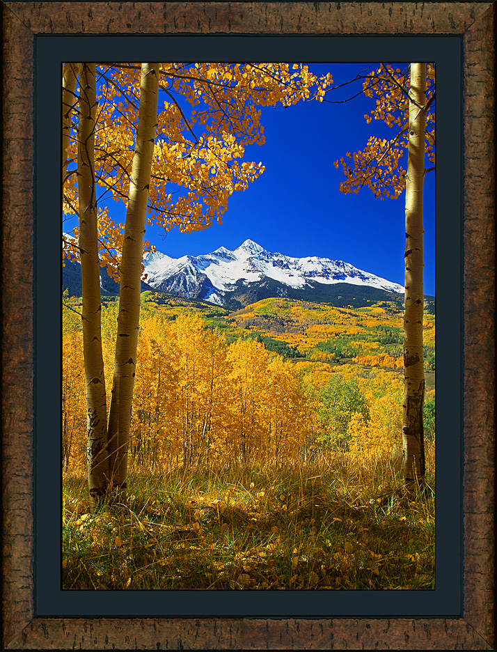 framed autumn's journey - roma