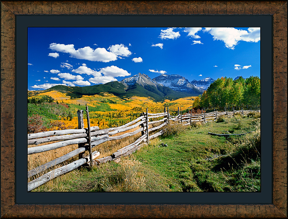 framed autumn's visit_roma