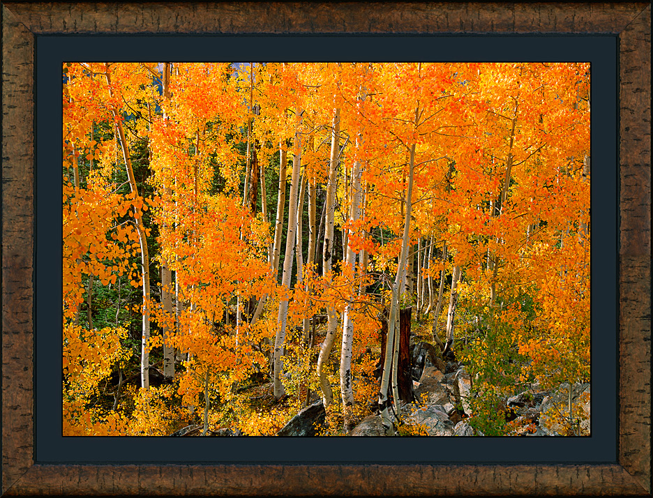 framed colorado crimson
