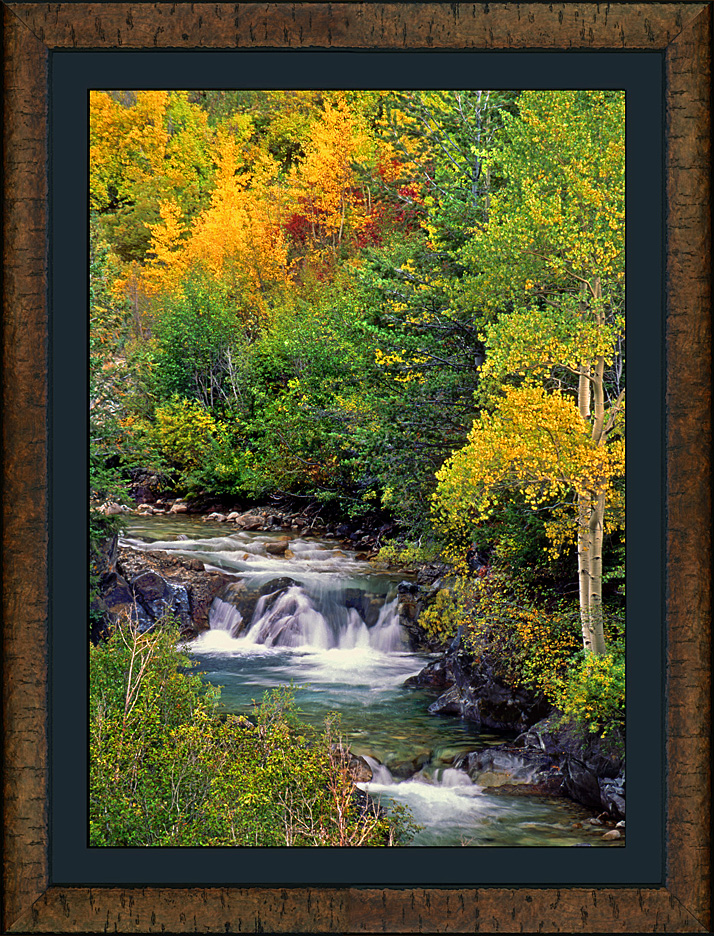 framed crystal river