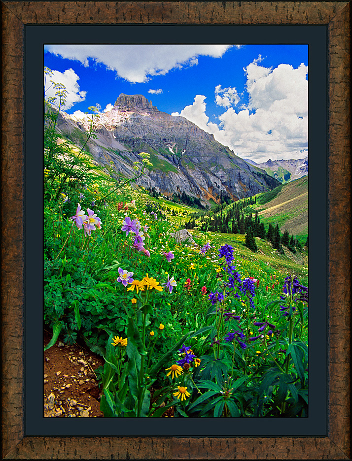 framed garden of flowers
