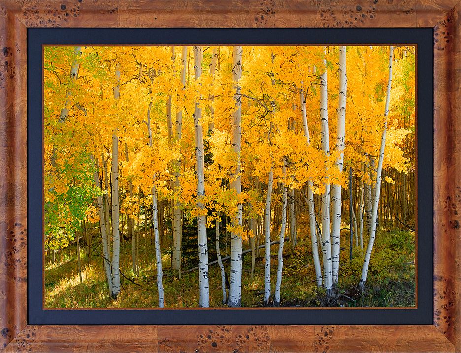framed golden glade - LGB