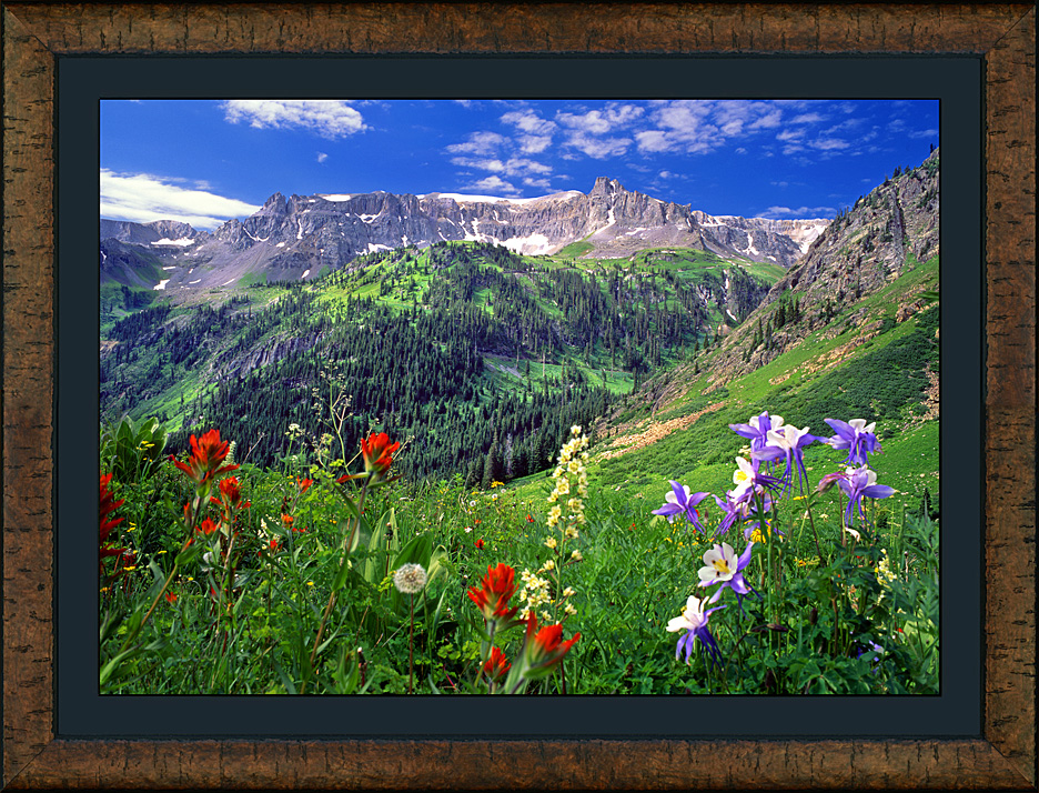 framed governor basin