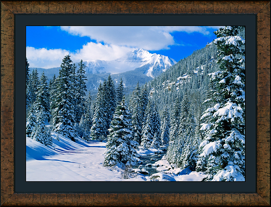 framed lake fork san miguel