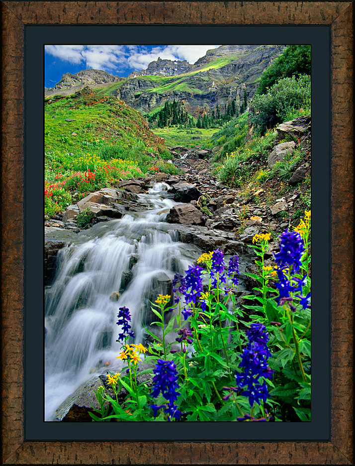 framed larkspur falls