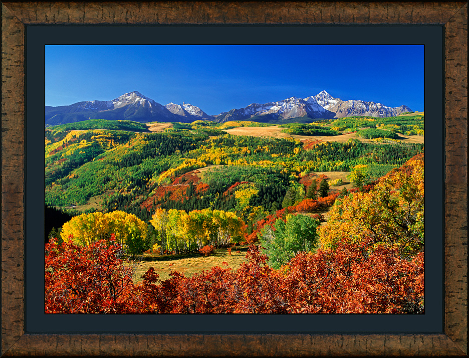 framed last dollar vista