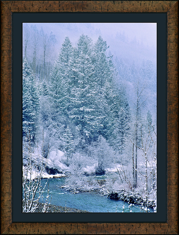 framed muted murmurs
