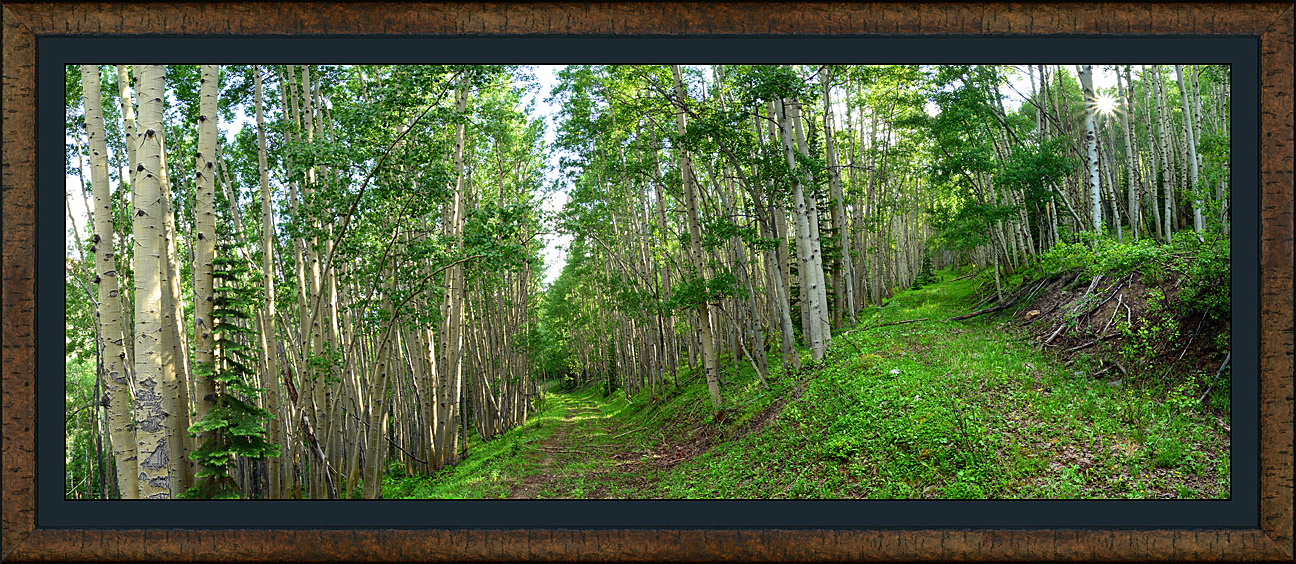 framed pan aspen roads