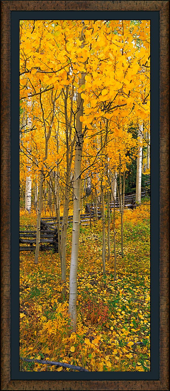 framed pan aspen walk - roma