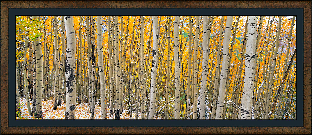 framed pan autumn snows - roma