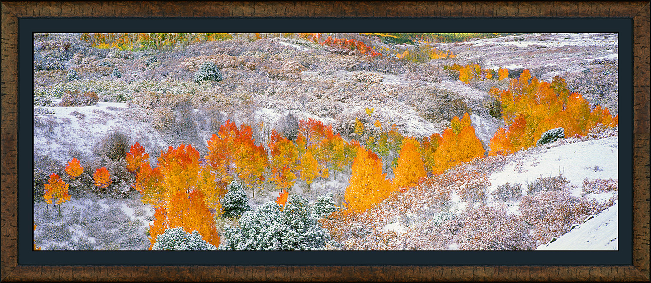 framed pan autumns vale