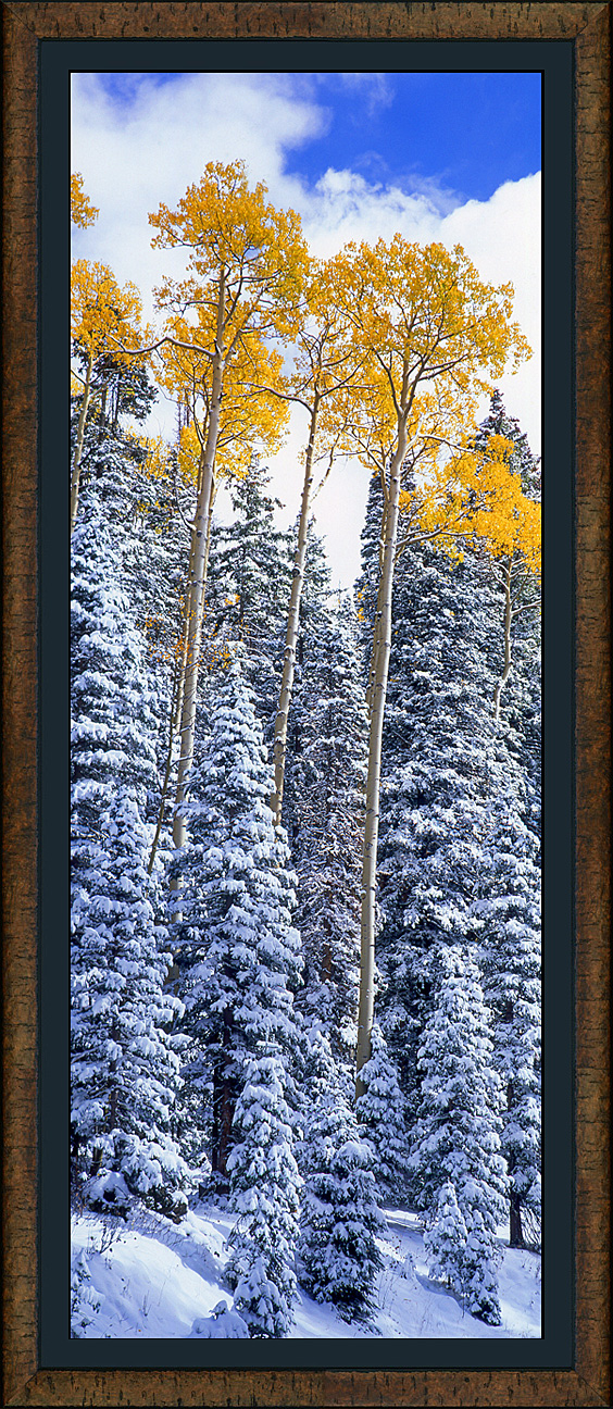 framed pan contrasts