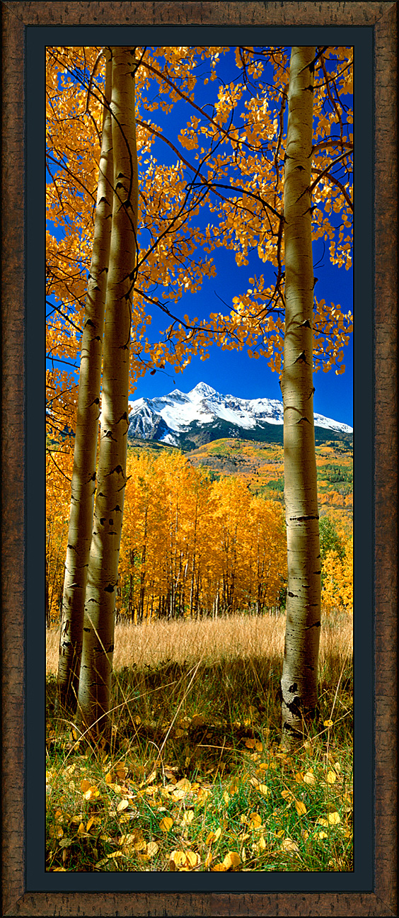 framed pan journeys end
