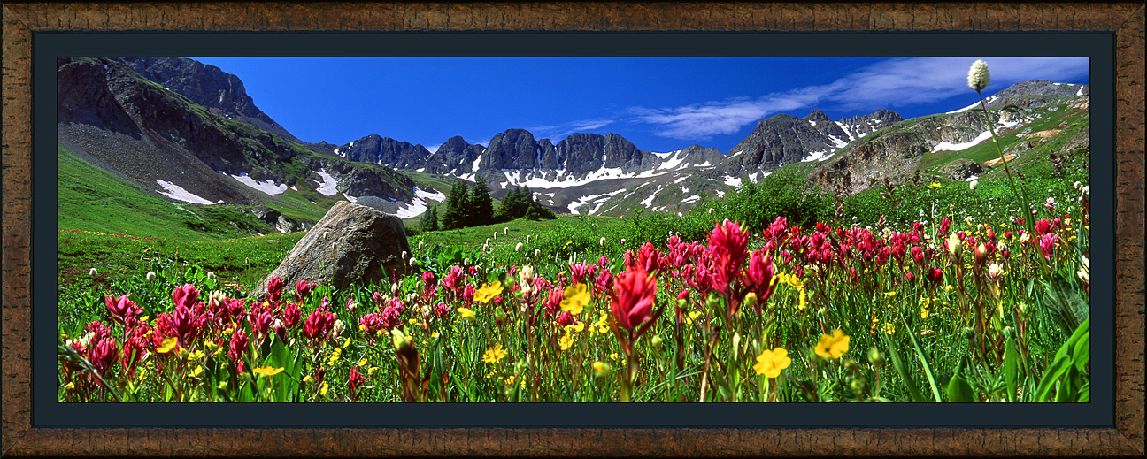 framed pan paintbrush meadows