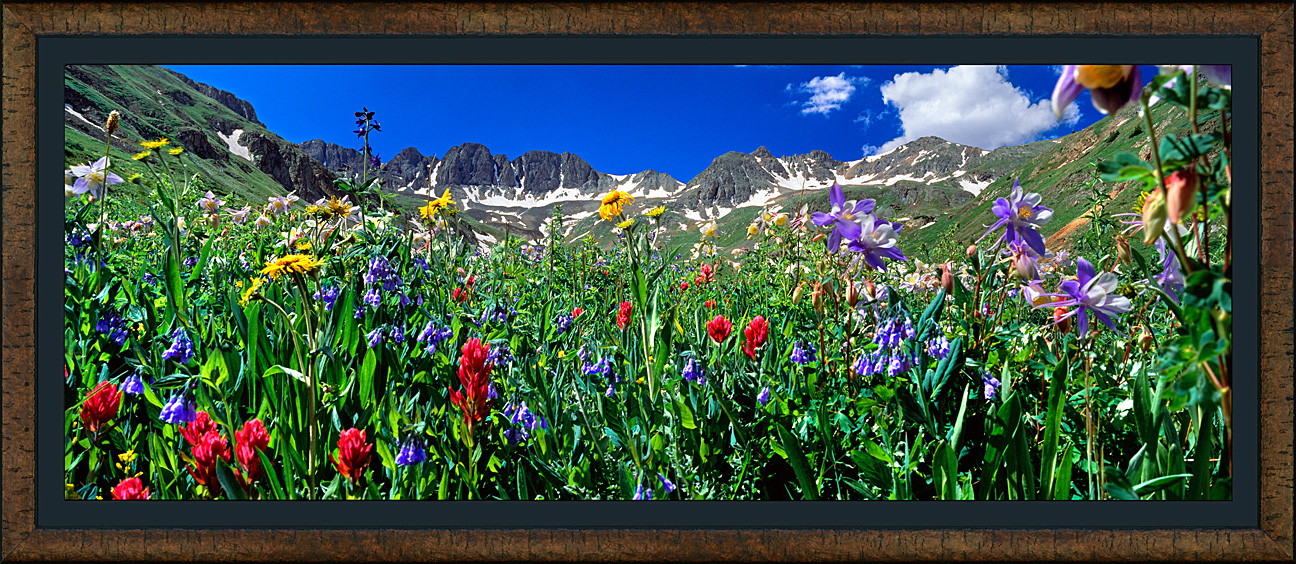framed pan wildflower bouquet
