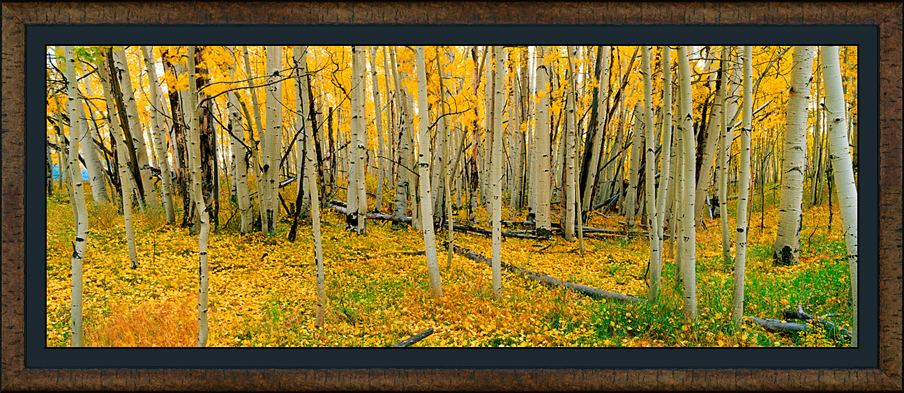 framed pan woodlands - roma