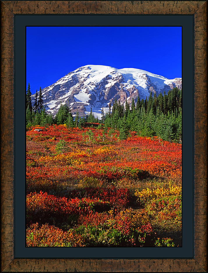 framed rainier autumn