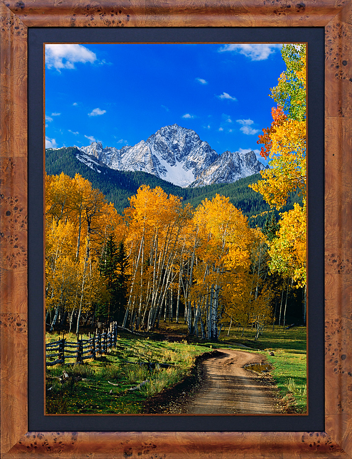 framed sneffels trail LGB
