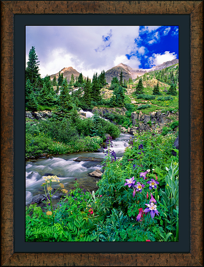 framed twin falls