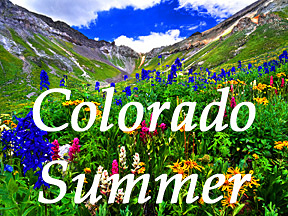 gallery page spring-summer
