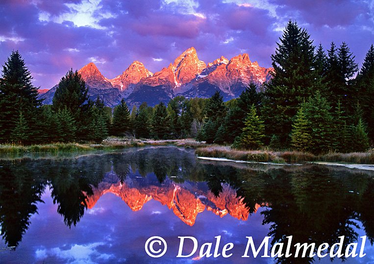 grand reflections