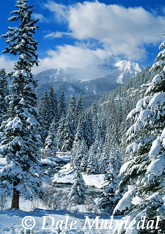 heavy snow at ilium