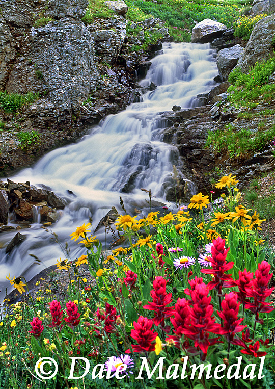 high country cascade