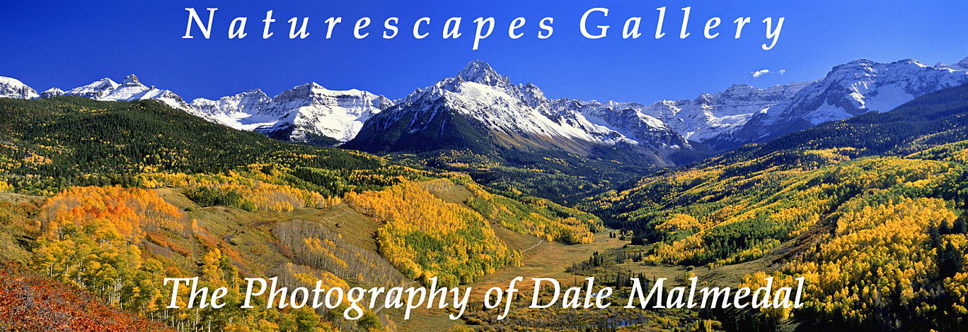 home page ioage blue valley