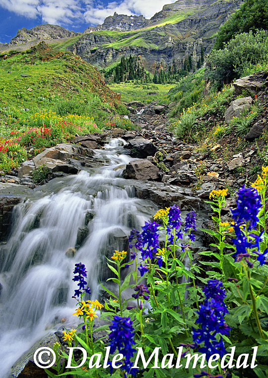 larkspur falls