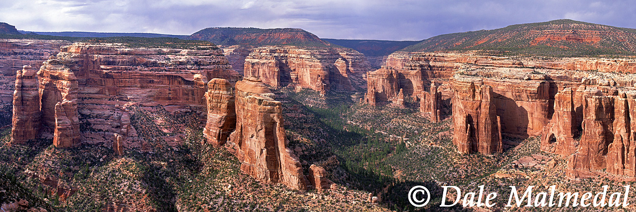 pan canyon confluence
