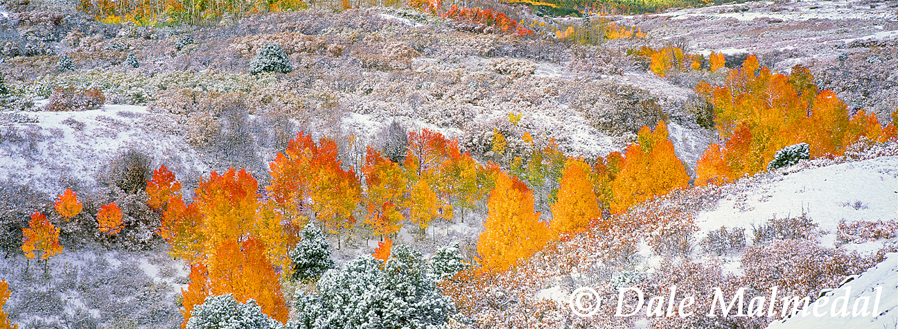 pan autumns vale