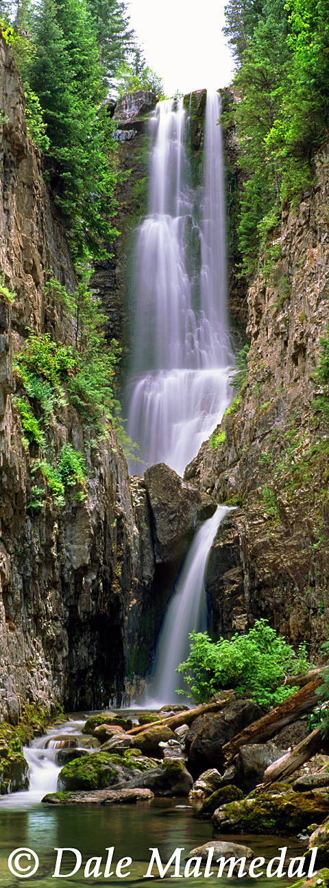 pan mystic falls