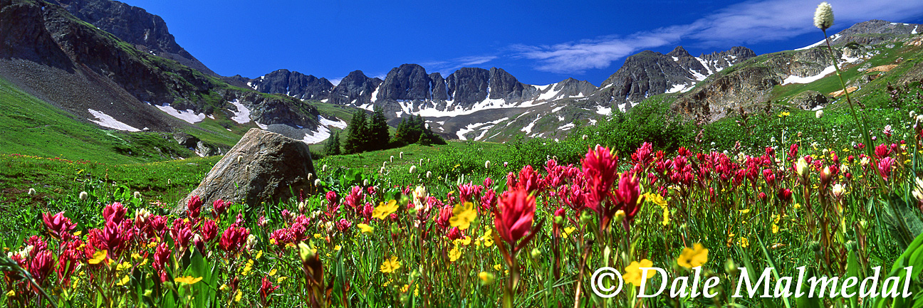 Paintbrush Meadows