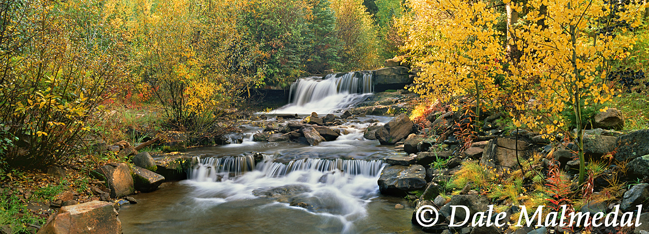 pan placid creek