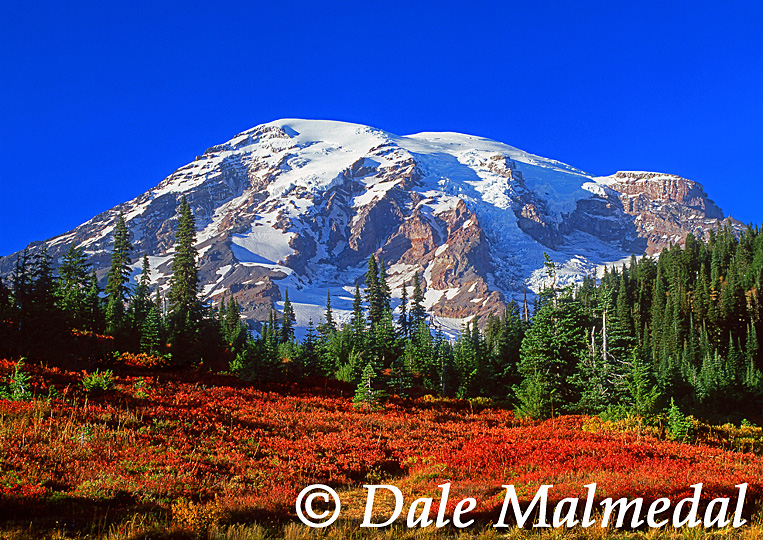 paradise autumn