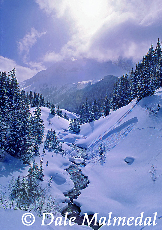 snowbound