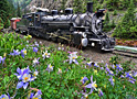 columbine express