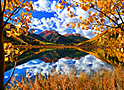 autumn's aperture