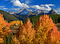 grenadier autumn