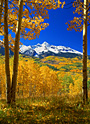 autumn's journey