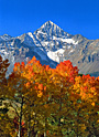 autumn's mantle