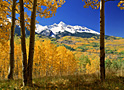 autumn's sojourn
