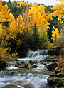 big bear  creek
