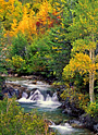 crystal river