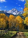 sneffels trail