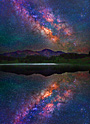 starry starry night